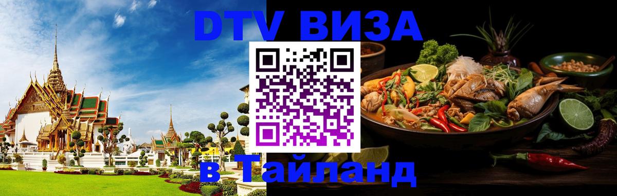 Оформление DTV визы под ключ: стоимость и тарифы, только загранпаспорт - 20.11.2025 
